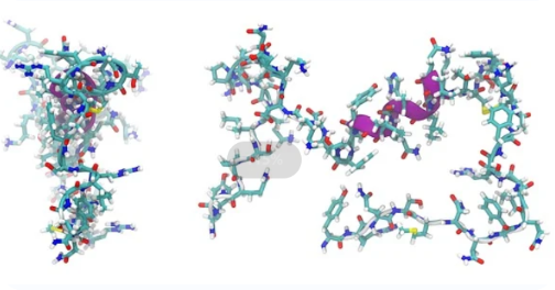 Single small molecule PEG